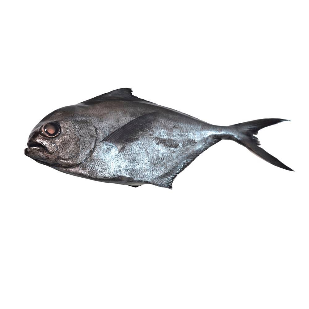 Reineta